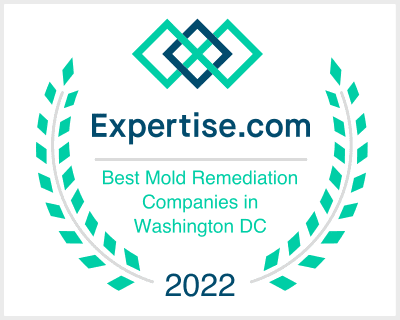 Expertise Award 2022