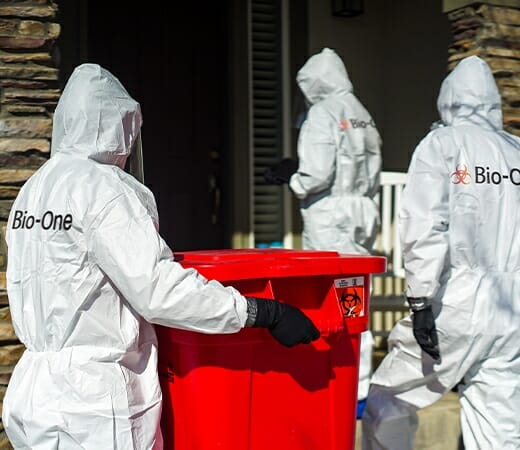 Bio-one Team