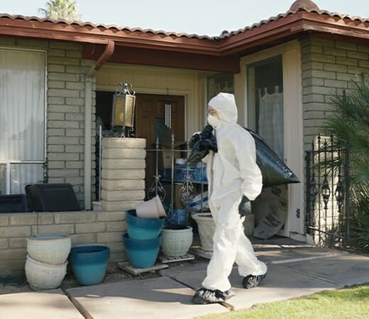 Clean-up