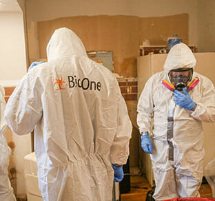 Bioone Clean-up