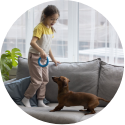 Kid Playing Dog