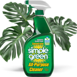 Product Simple Green