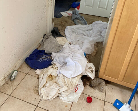 Colorado Mold Remediation